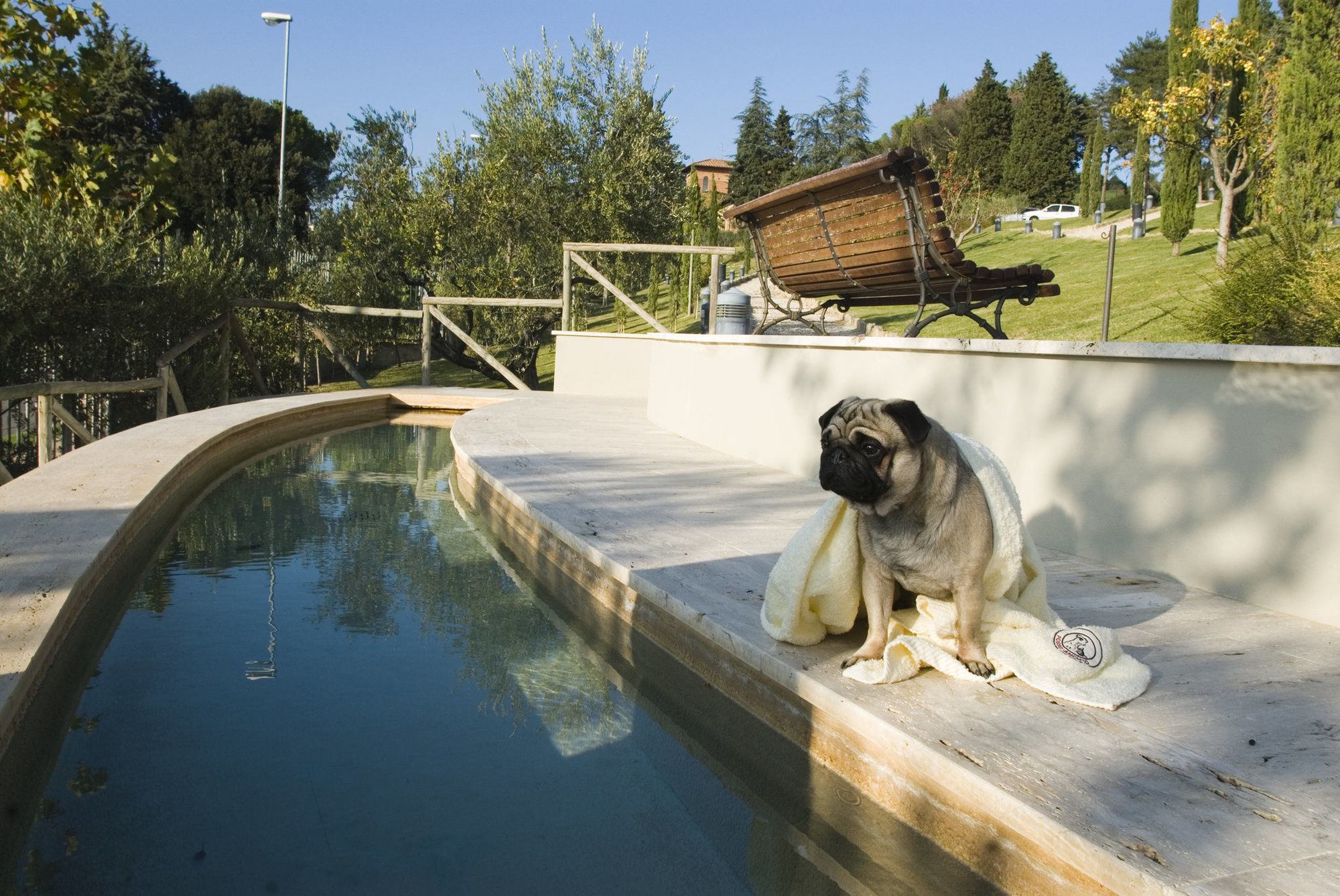 Fonteverde Lifestyle & Thermal Retreat - The Leading Hotels Of The World San Casciano dei Bagni Einrichtungen foto A dog at a swimming pool